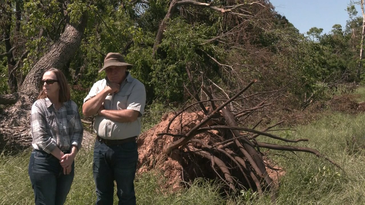 Tornado damages leave family farmers to rebuild crops – KTEN [Video]