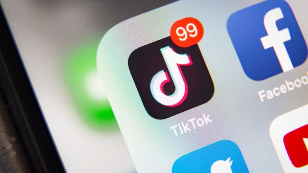 Video TikTok suing US government over potential nationwide ban [Video]