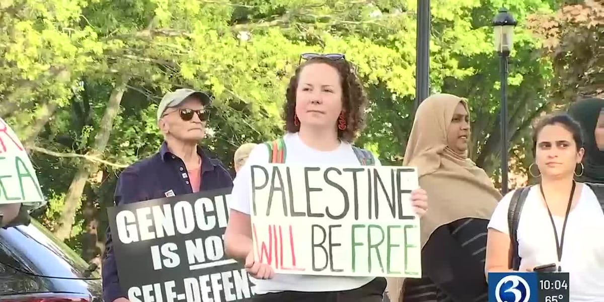 Hundreds of pro-Palestine protestors rally at the capitol [Video]