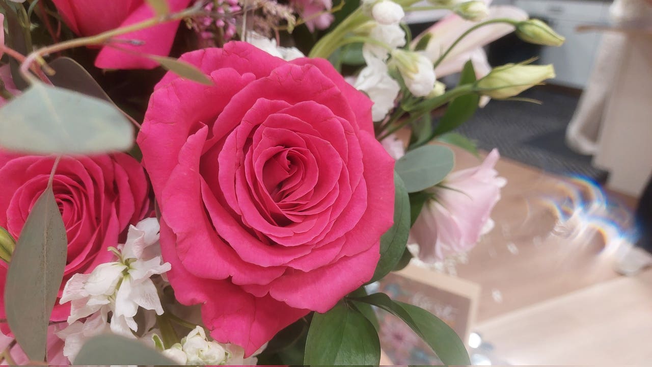 Buford floral studio ‘blooms’ in new space ahead of Mothers Day [Video]
