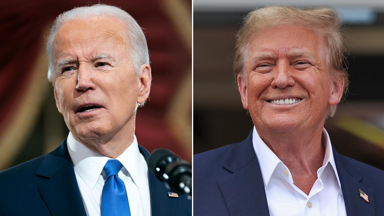 Dems push Biden on amnesty for illegals before possible Trump victory [Video]