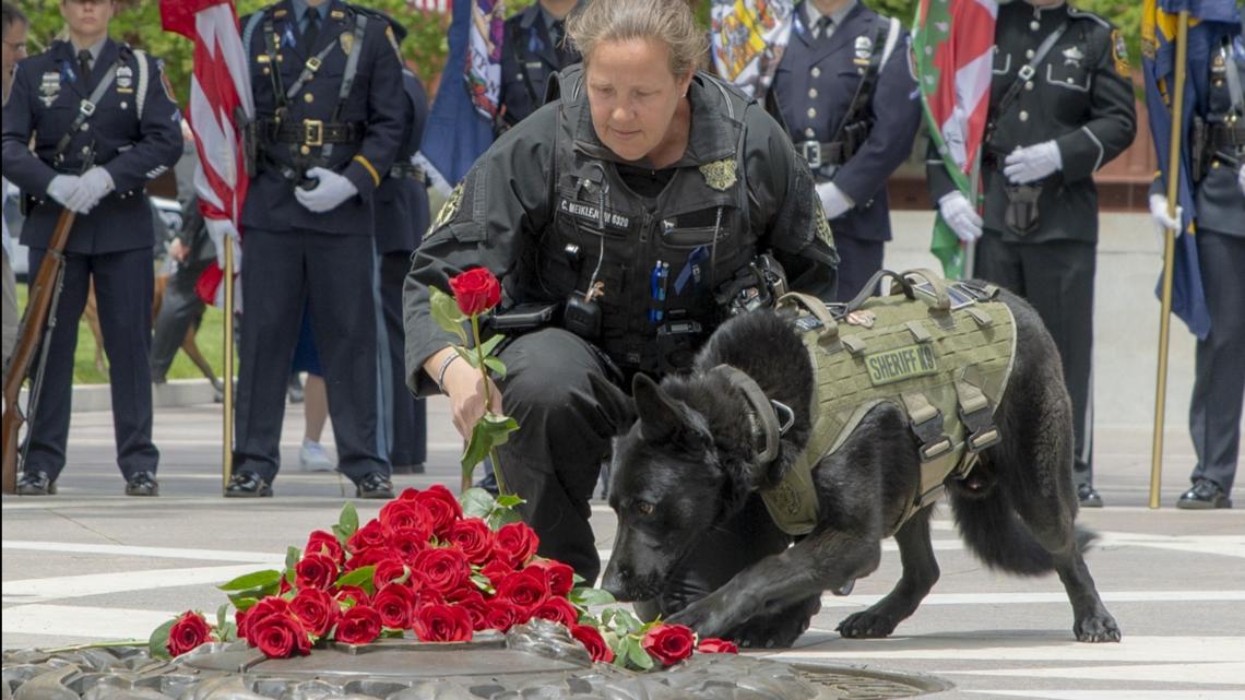 San Diego Police dog ‘Sir’ killed in line of duty will be honored at national memorial service [Video]