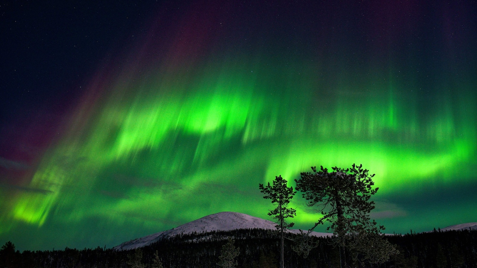 Northern lights could be seen as far south as Alabama this weekend: NOAA [Video]