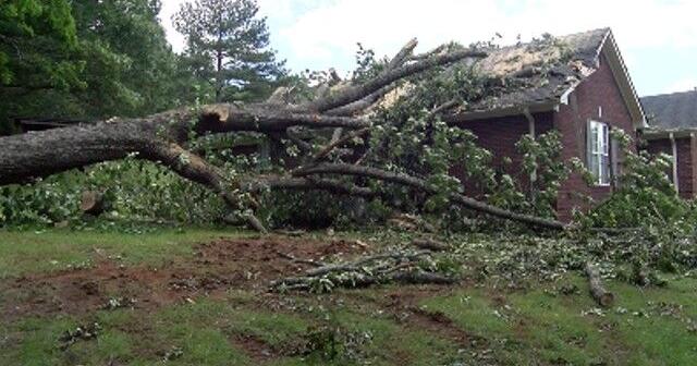 Tree crashes into New Market resident’s bedroom while in bed | News [Video]