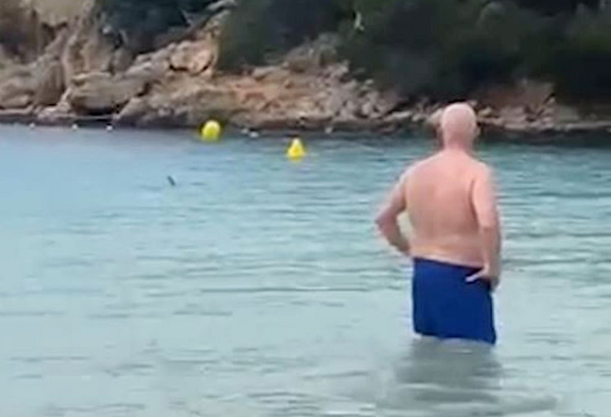Brits terrified after shark circles family at Playa Arenal den Castell, Menorca, Spain [Video]