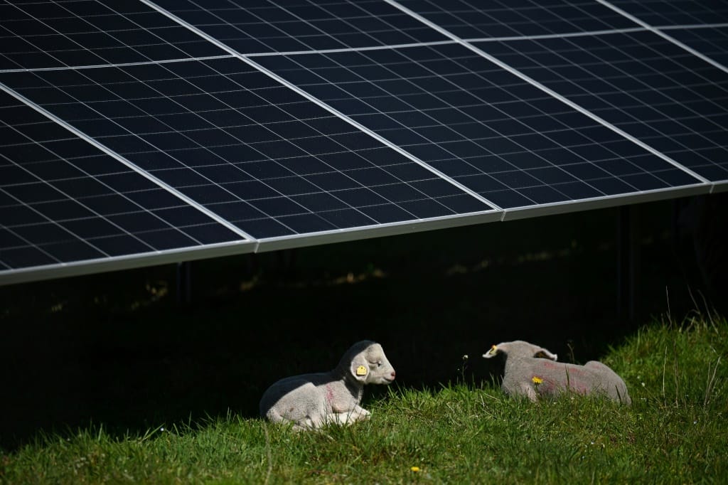 Chinese firms exit Romania solar tender after EU probe [Video]