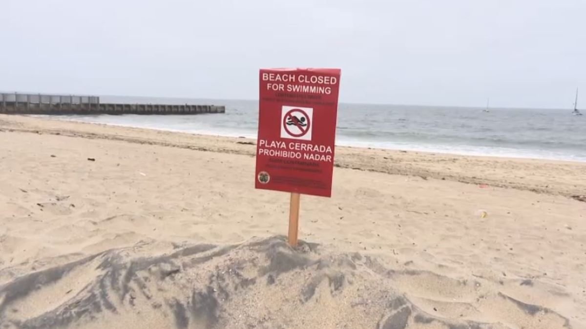 Health warnings issued for these LA County beaches  NBC 7 San Diego [Video]