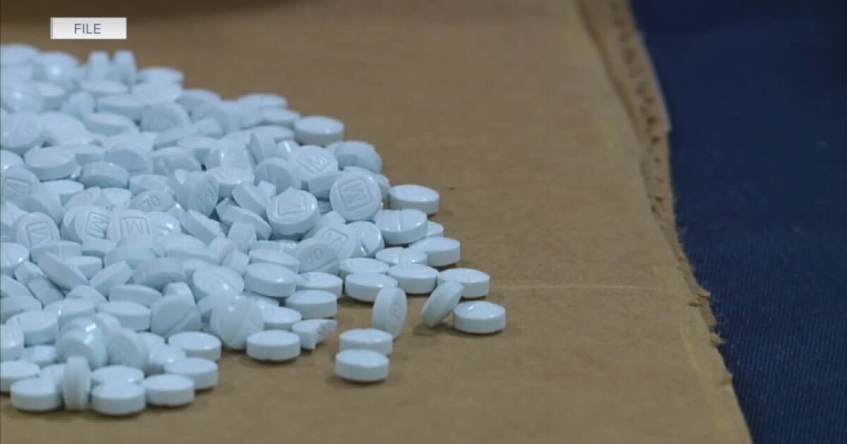 Pima County set overdose death record in 2023 [Video]