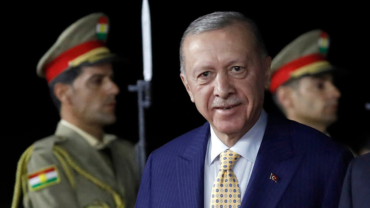 Turkey’s Erdogan defends Hamas, claims over 1K members are at his country’s hospitals [Video]