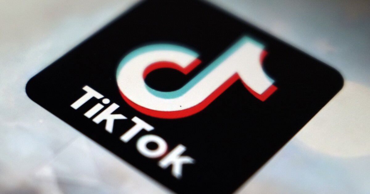 TikTok content creators sue the U.S. government over law that could ban the app [Video]