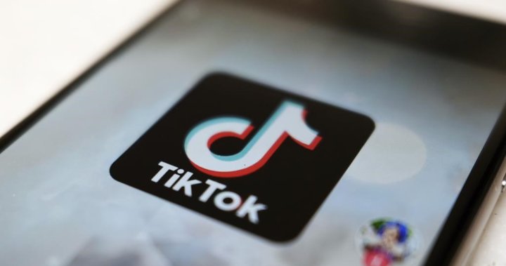 U.S. law that could ban TikTok faces new lawsuit from content creators – National [Video]