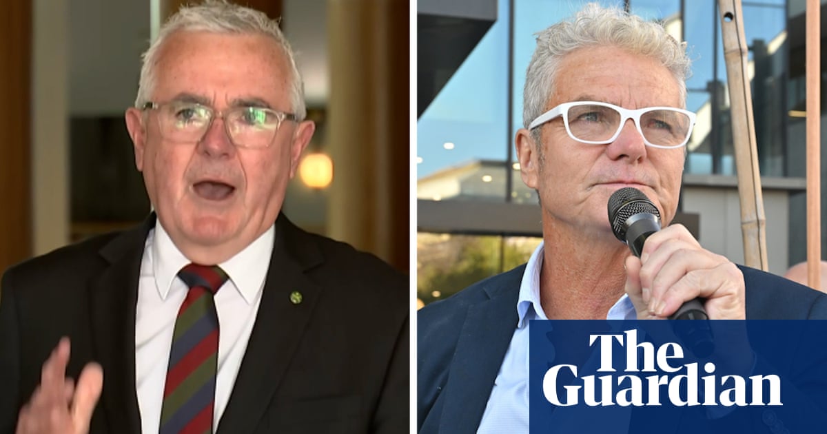 Australian MP criticises jail sentence given to former army lawyer David McBride  video | Law