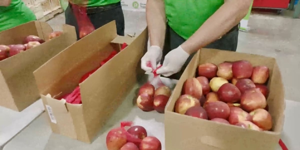 Publix reaches milestone in effort to help farmers while reducing hunger [Video]