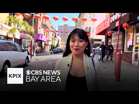 San Francisco Chinatown voters flex their muscles in local elections [Video]
