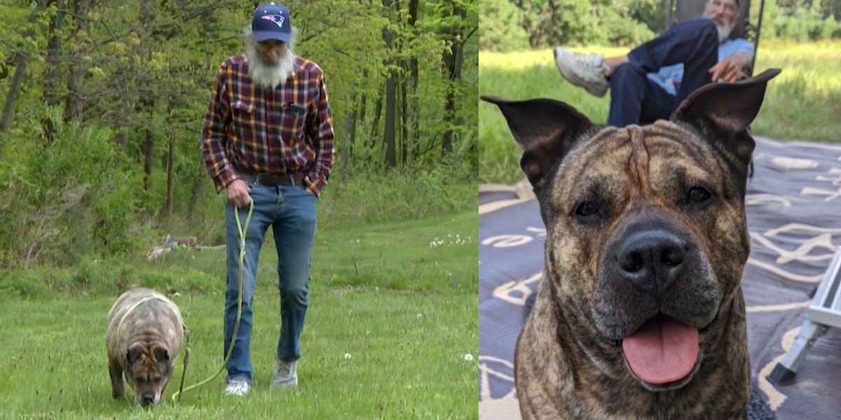 Man’s dying wish is to find a new forever home for his dog [Video]