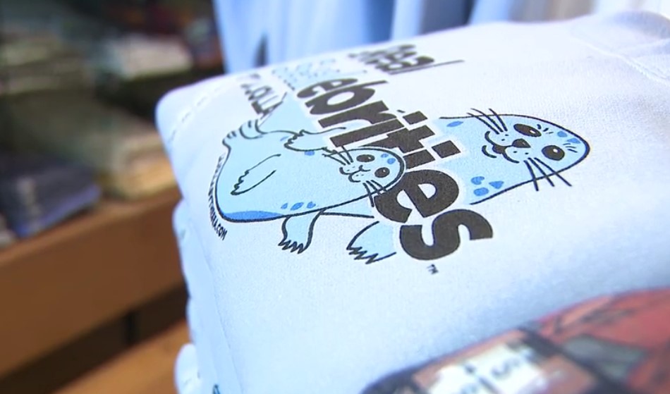 La Jolla seals at f the Childrens Pool: new merchandise to support education [Video]