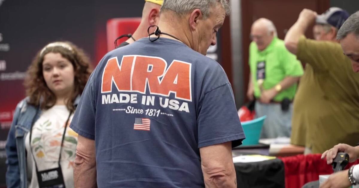 How the NRA has shaped American politics [Video]