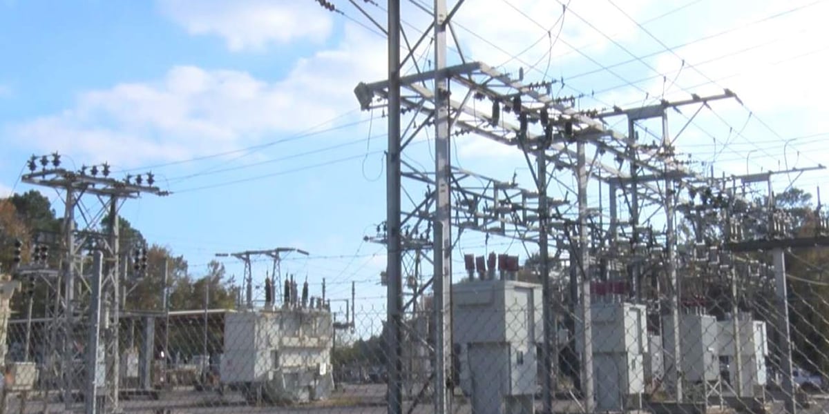 SC electric co-ops oppose gas power plant regulations over energy demand [Video]