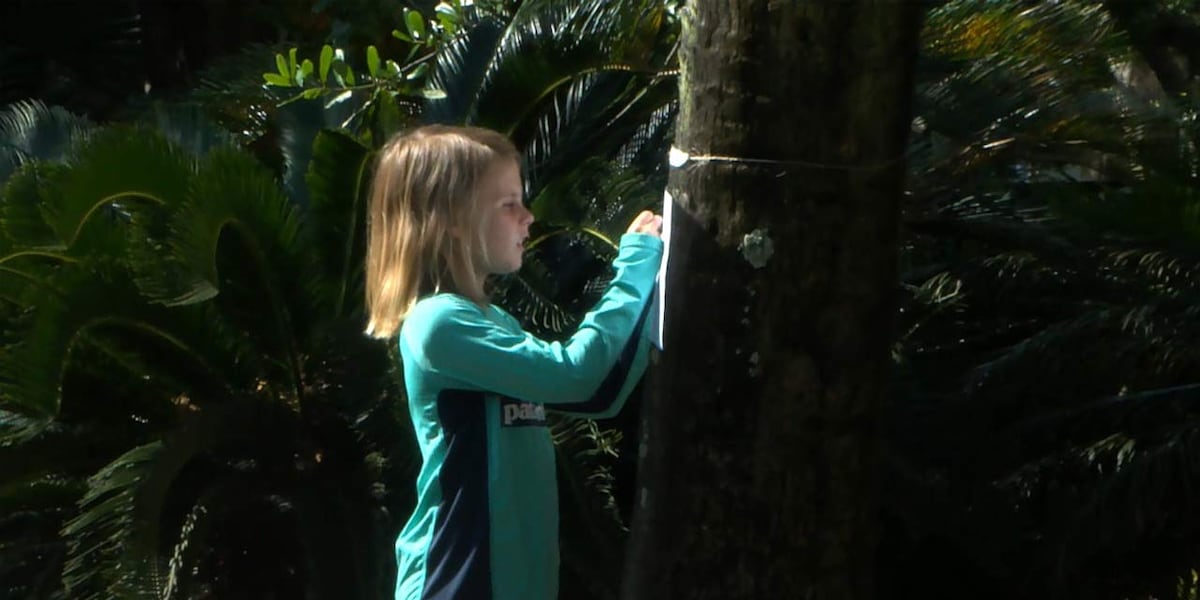 8-year-old boy pushes for protection of 523 trees on Sullivans Island [Video]