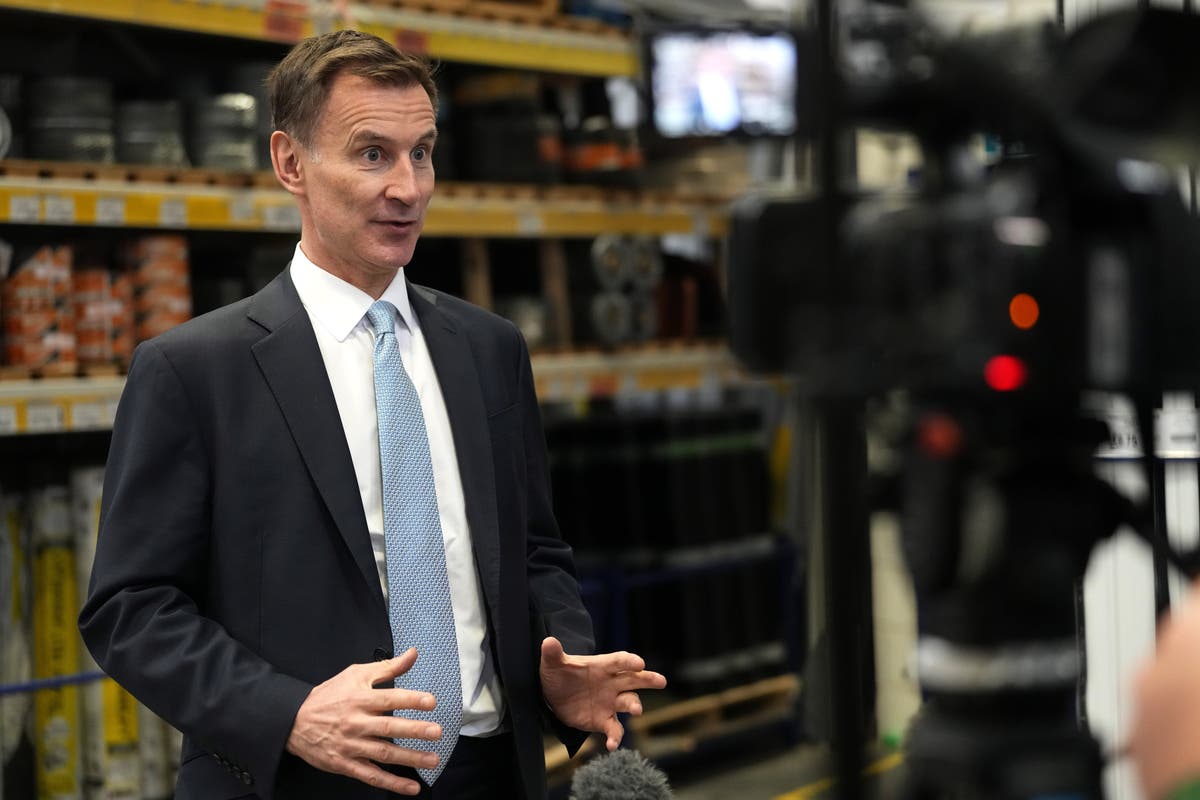 Watch: Jeremy Hunt promises tax cuts if Tories win general election [Video]