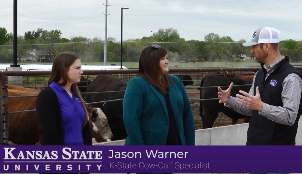 VIDEO: Beef Cattle Production Sustainability [Video]