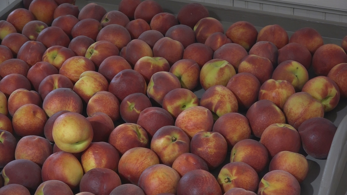 Georgia farmers relieved this peach season [Video]