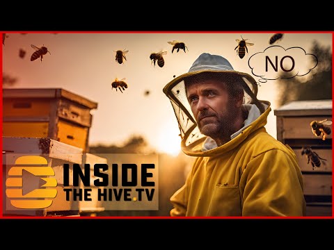 Are BEEKEEPERS lying to us? [Video]
