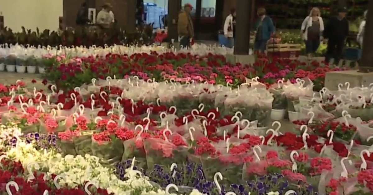 Eastern Market’s 2024 Flower Day celebration set for Sunday, May 19 [Video]