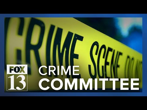 Utah legislature forms subcommittee on organized crime [Video]
