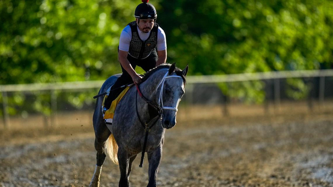 Seize The Grey captures Preakness Stakes [Video]