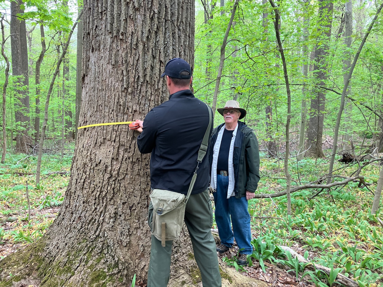 Article on old-growth forest near Cleveland points to need to preserve forest protections in Farm Bill [Video]