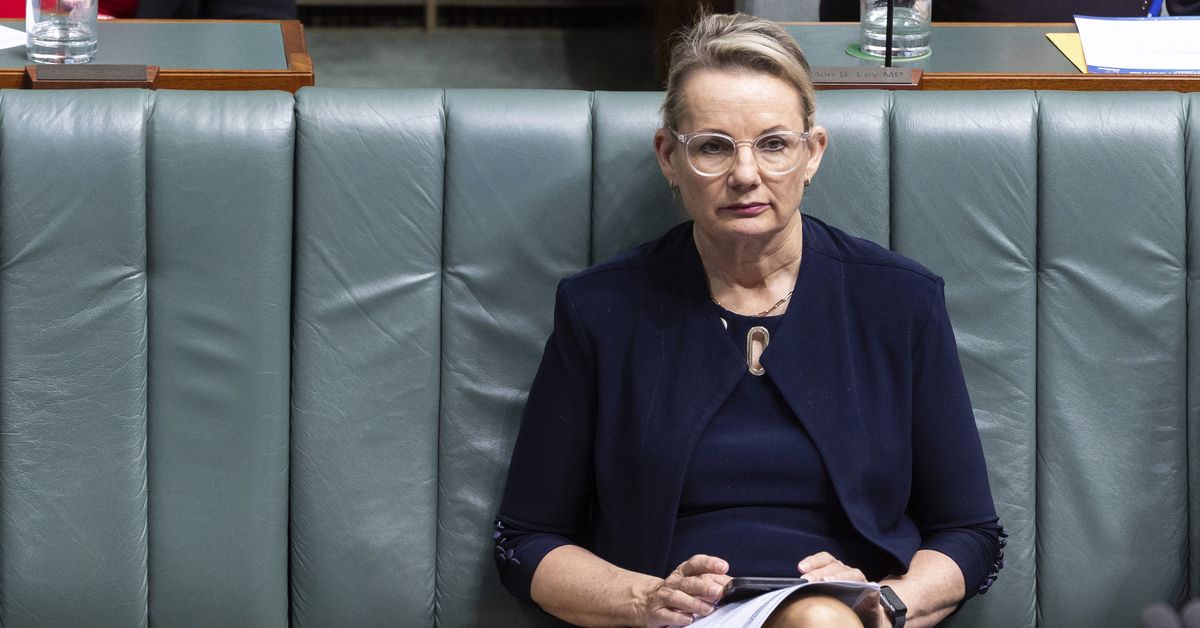 Sussan Ley calls for Australian boycott of Diddy’s music following horrific domestic violence video