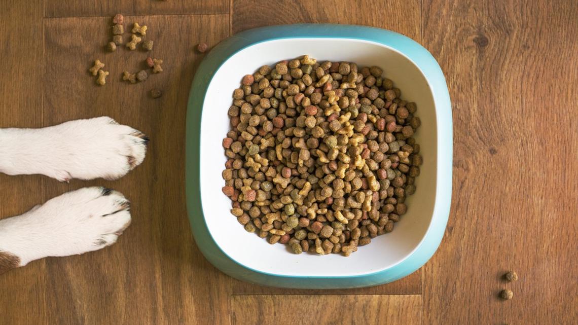 Dog food sold by Walmart recalled may contain metal pieces [Video]