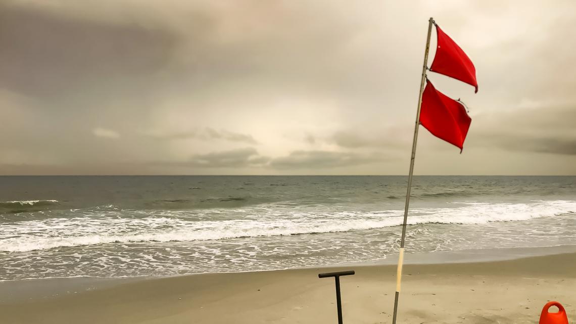 What do different color flags mean at the beach [Video]