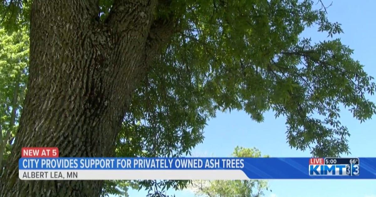 Albert Lea City Council Approves Plan to encourage homeowners to treat emerald ash borer | News [Video]
