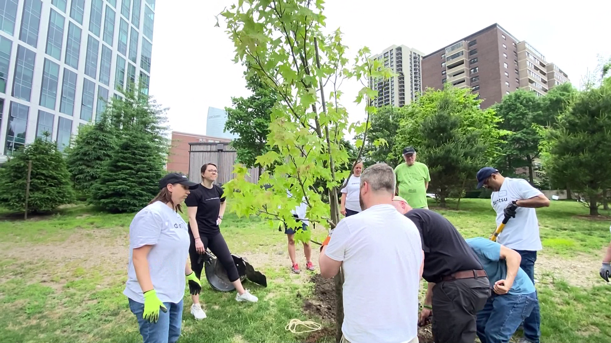 5 for Good: Boston’s West End gets green makeover to combat climate change, enhance quality of life [Video]