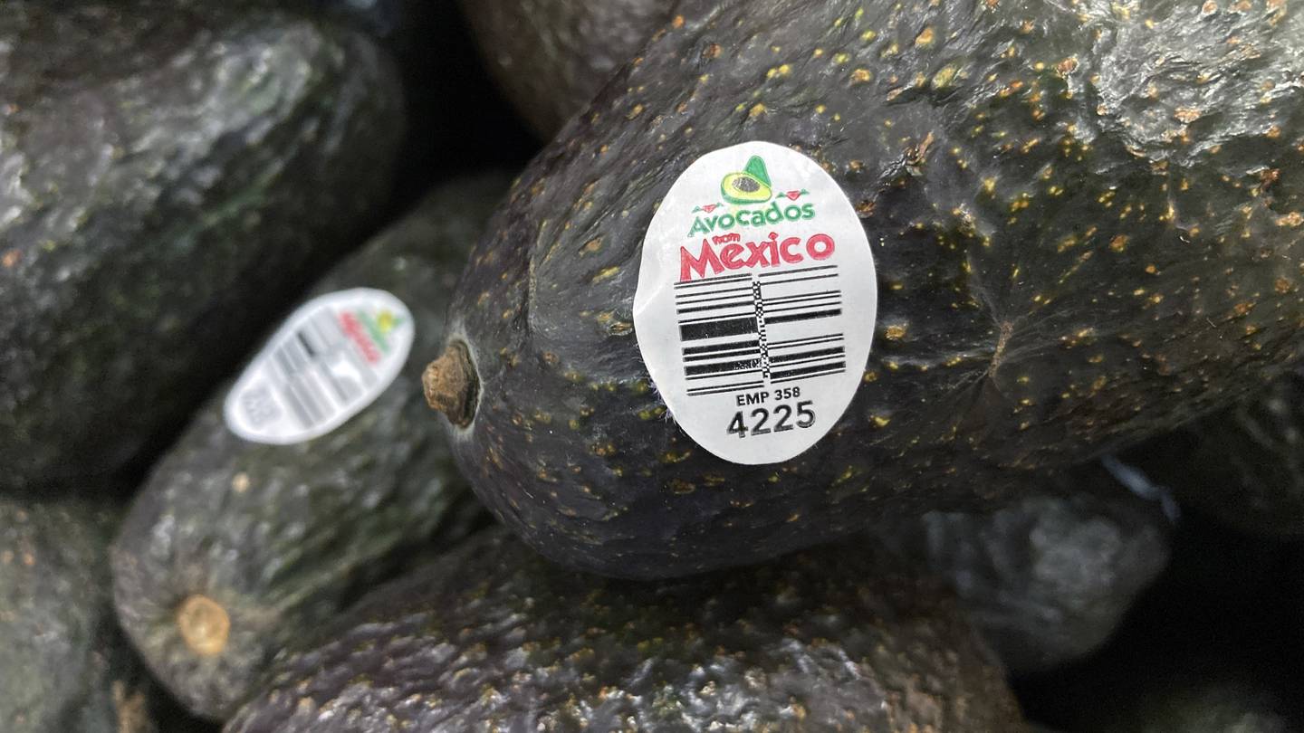 US will gradually resume avocado inspections in conflictive Mexican state, ambassador says  WSB-TV Channel 2 [Video]