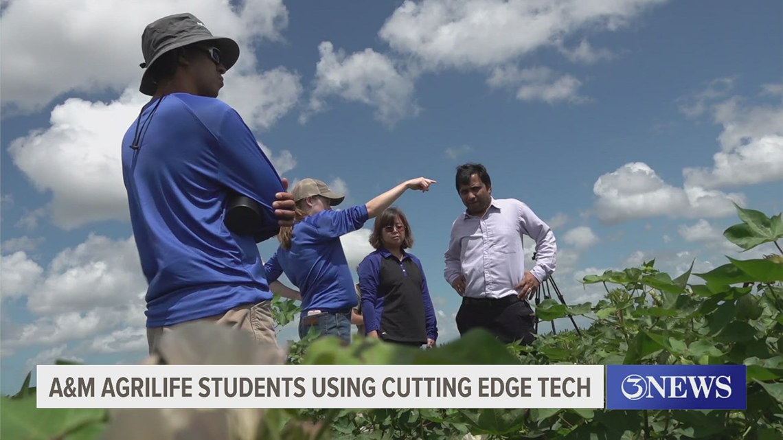 A&M Agrilife students combine computer science with agriculture [Video]
