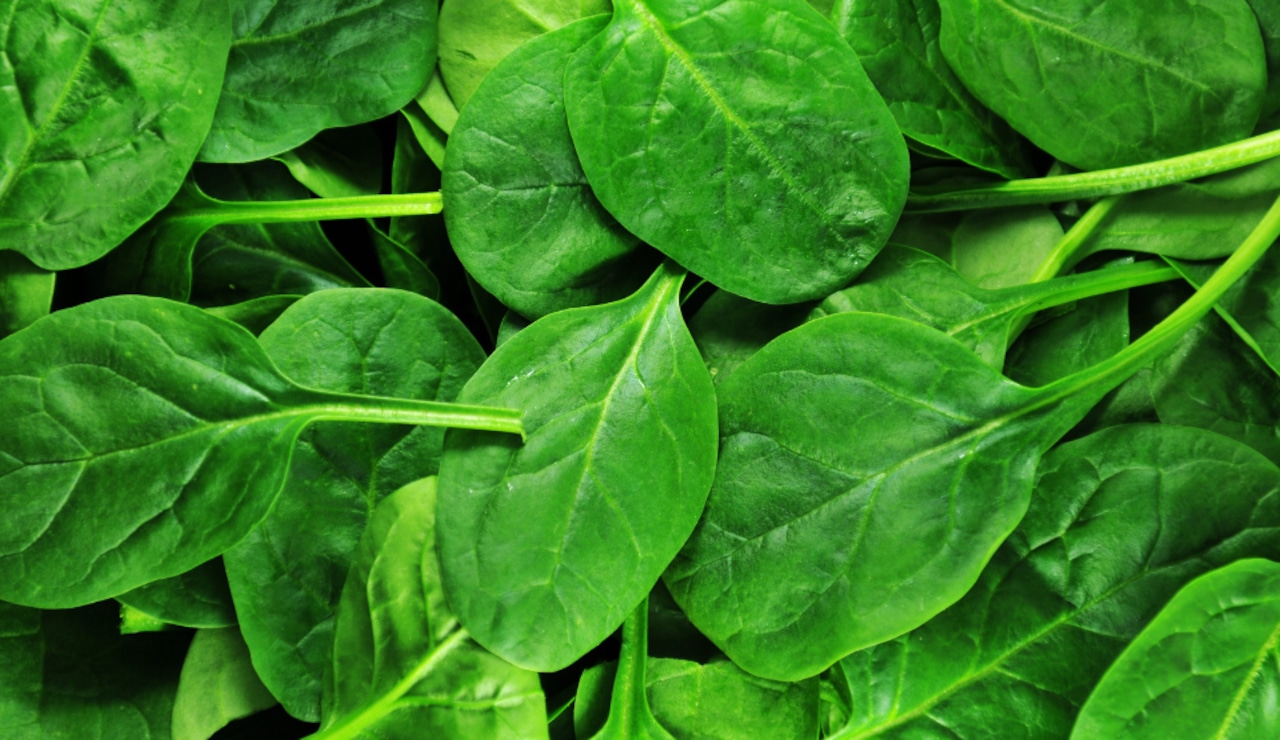 Spinach brand recalled due to potential listeria contamination in New York, FDA says [Video]
