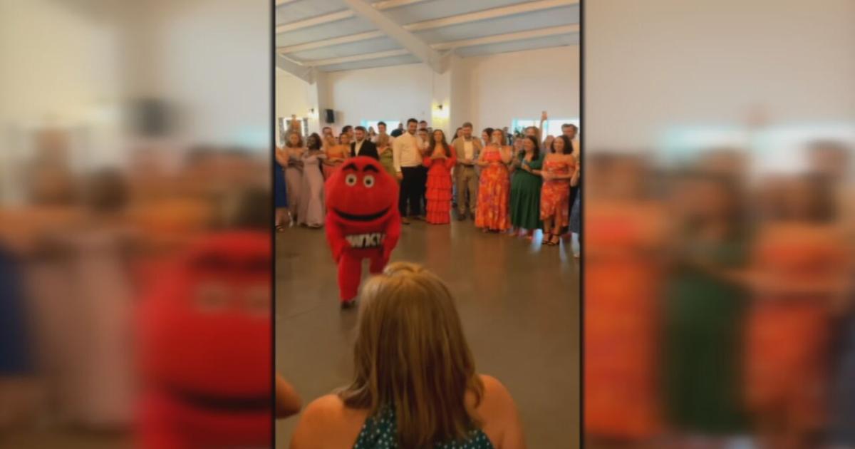 Big Red visits wedding reception after 2 WDRB employees get married | News from WDRB [Video]
