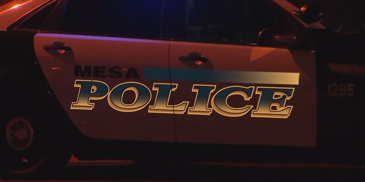 Driver reports being shot at while driving on US 60 in Mesa [Video]