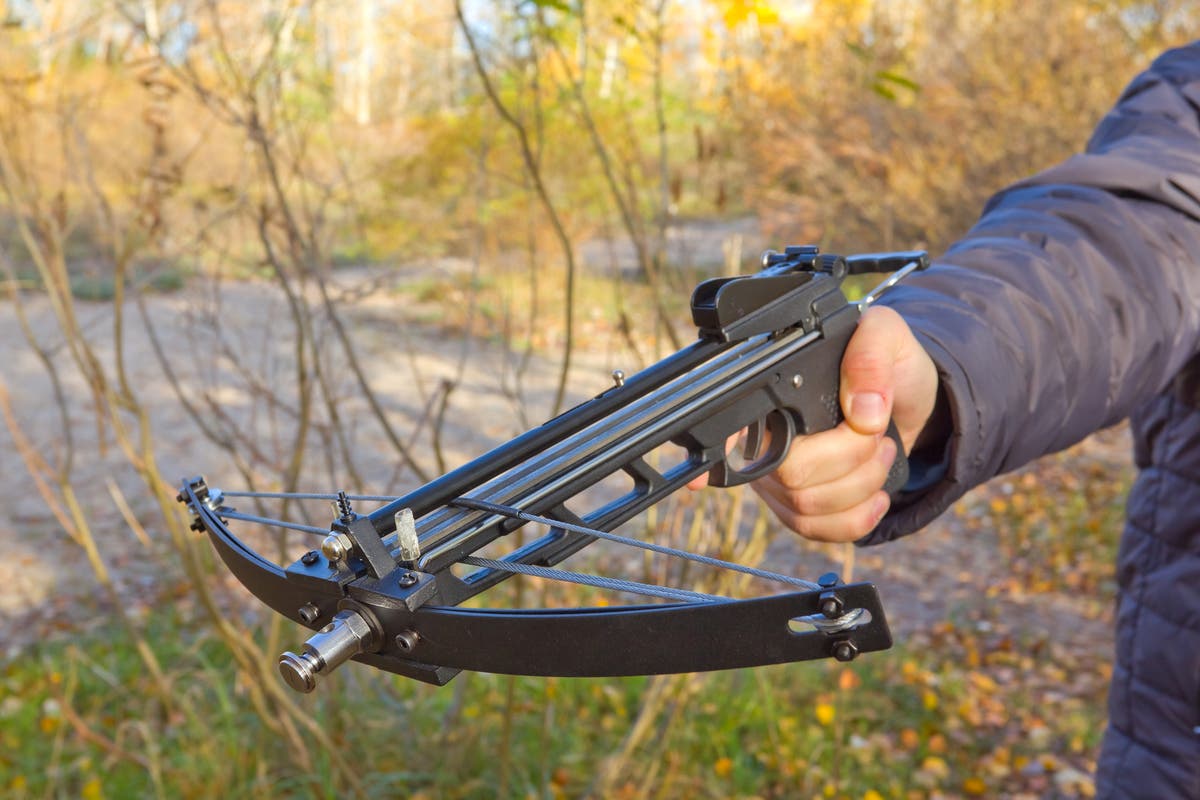 How easy is it to buy a crossbow online – and is it legal? [Video]