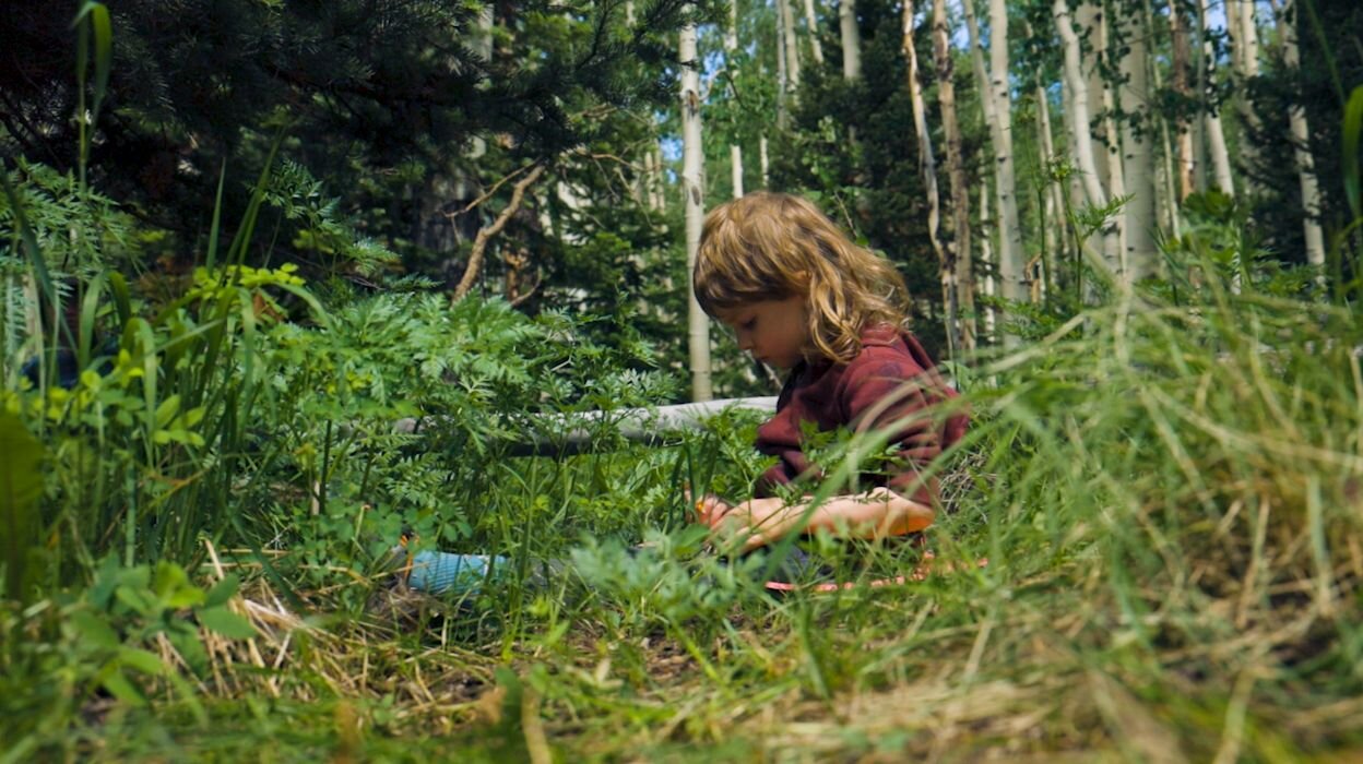 Rocky Mountain Biological Laboratory trains the next generation of scientists [Video]