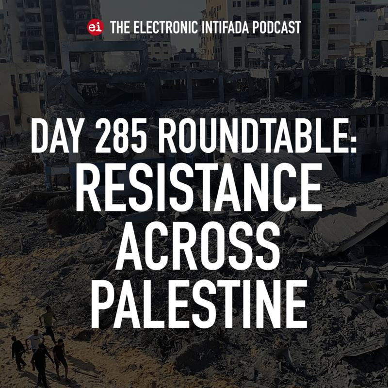 Day 285 roundtable: Resistance across Palestine [Video]