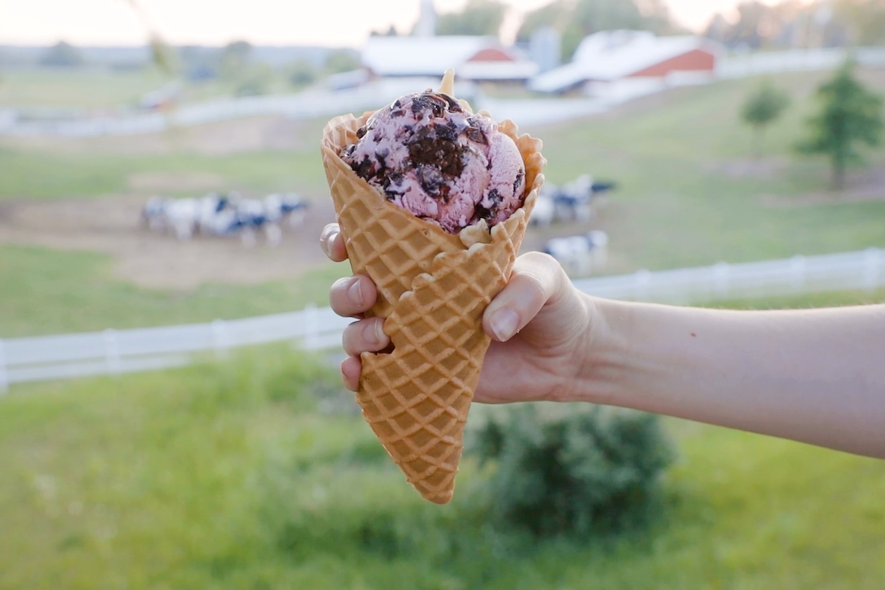Ice cream is bad for the environment. Ugh! [Video]