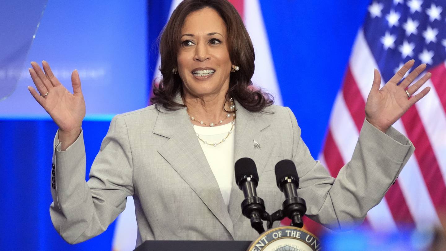 Harris breaks donation record, claims over half of her needed delegates  WHIO TV 7 and WHIO Radio [Video]