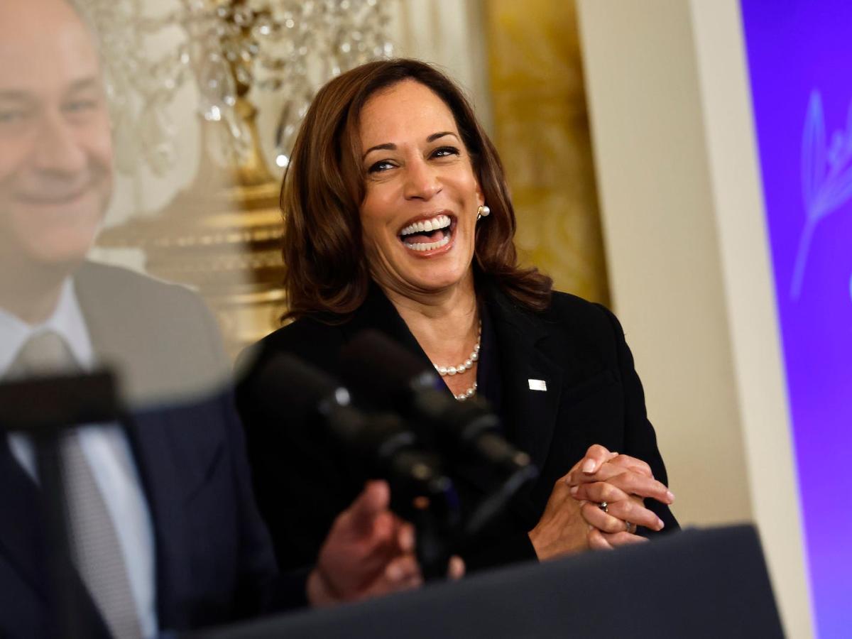 Kamala Harris has secured enough delegates to win the Democratic nomination [Video]