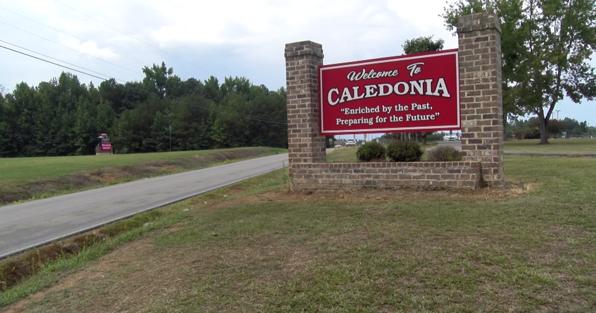 Proposal aims to build gas-powered turbine plant in Caledonia | News [Video]