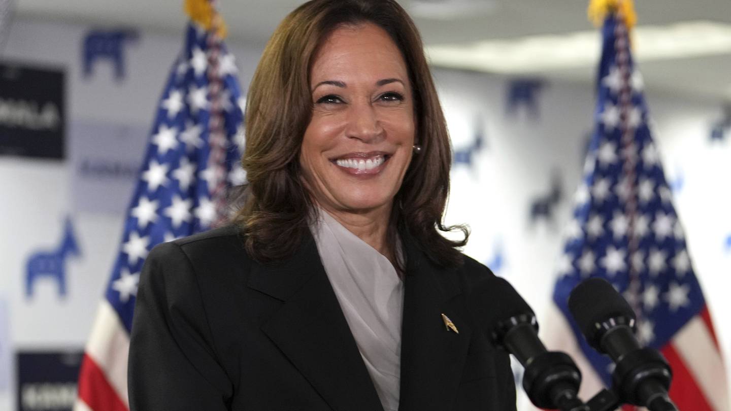 Kamala Harris is preparing to lead Democrats in 2024. There are lessons from her 2020 bid  WSOC TV [Video]