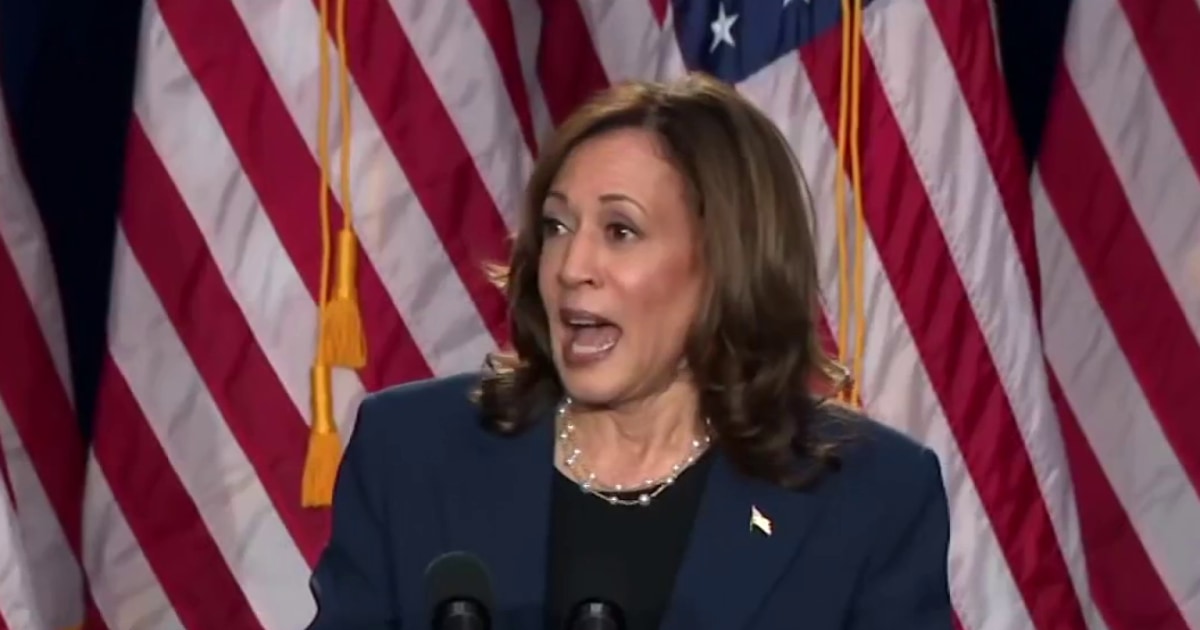 VP Kamala Harris rips into Donald Trump in battleground state of Wisconsin kicking off her campaign [Video]